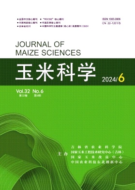 玉米科学封面